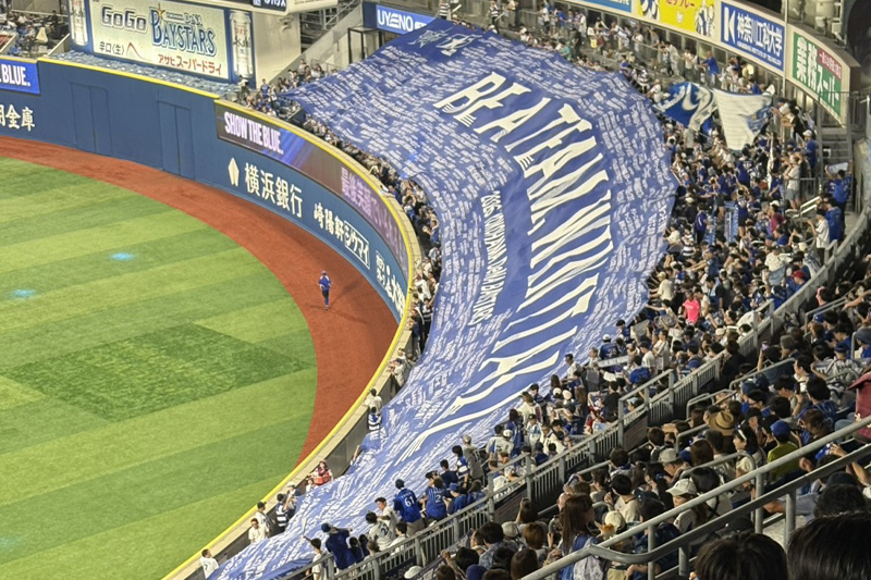 ybs05.jpg